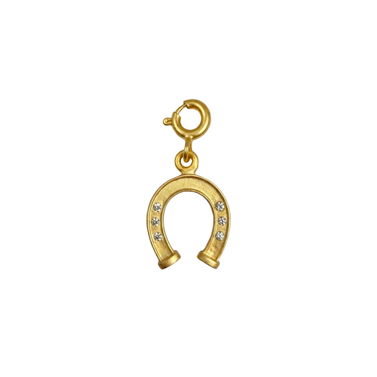 Lucky Horseshoe Silver Charm