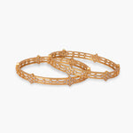 Bangles Flora CZ Silver Bangles