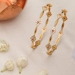 Bangles Shravya CZ Red Silver Bangles