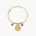 Bracelet Blue Zircon Sagittarius Zodiac Coin Gold Plated Silver Bracelet
